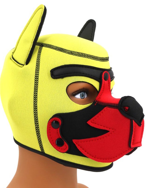 Cagoule Puppy Fox Néoprène Jaune-Rouge