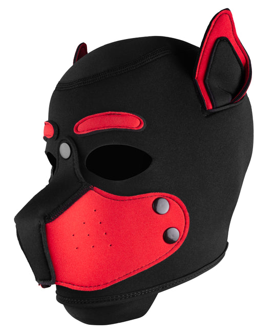 Masque Petty Dog Noir-Rouge
