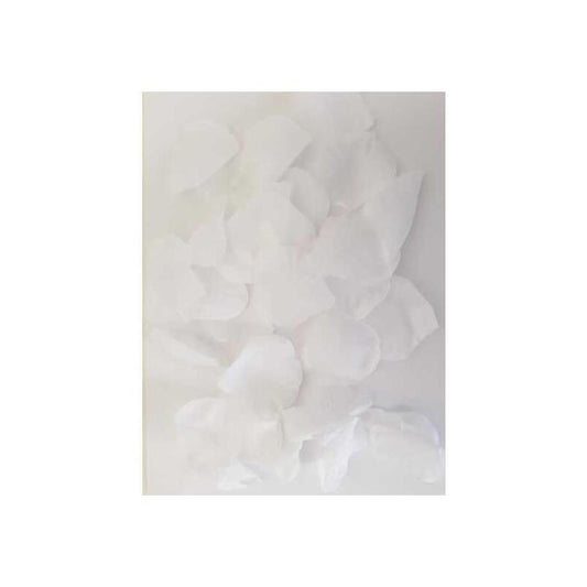 Fausses Pétales de Fleurs x100 Blanc