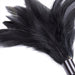 Accessoire pour les chatouilles Horn Tickler Noir