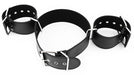 Attaches Bras-Taille Restrain Waist