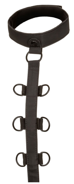 Attaches Sm Collar Body Restraint Boundless