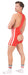 Singlet Backless DASTIN Rouge