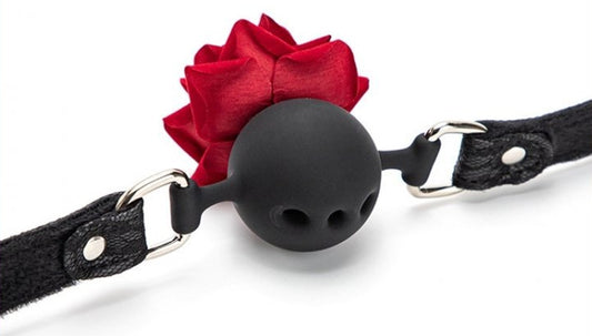 Baillon Boule avec Rose Bud Gag Noir