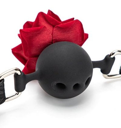Baillon Boule avec Rose Bud Gag Rouge