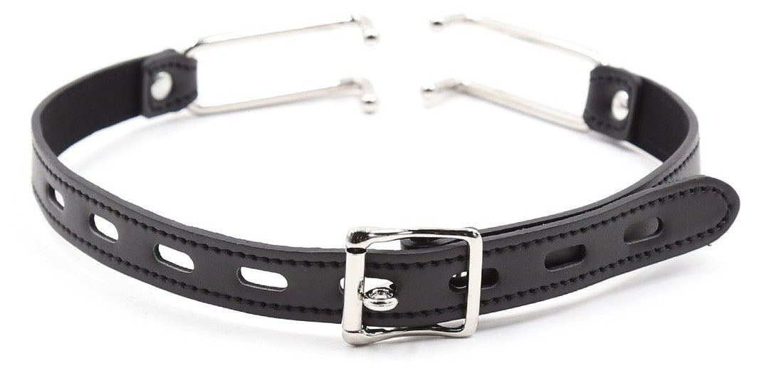 Baillon Hook Simili Noir