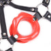 Baillon SM Lips et Harnais