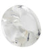Ballstretcher Skater Boyz Transparent