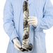 Gode XL PISARA 35.5 x 5.3cm