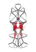 Body Rose Strappy avec Cache-seins