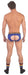 Backless PRIDE Bleu
