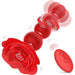 Boules Anales Rotatives Vibrantes Rosebird 15 x 3.5cm