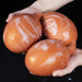 Boules Bolz 4XL 44 x 9.7 cm