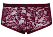 Boxer Dentelle FLINO Bordeaux