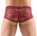 Boxer Dentelle FLINO Bordeaux