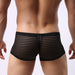 Boxer sexy Linea Noir