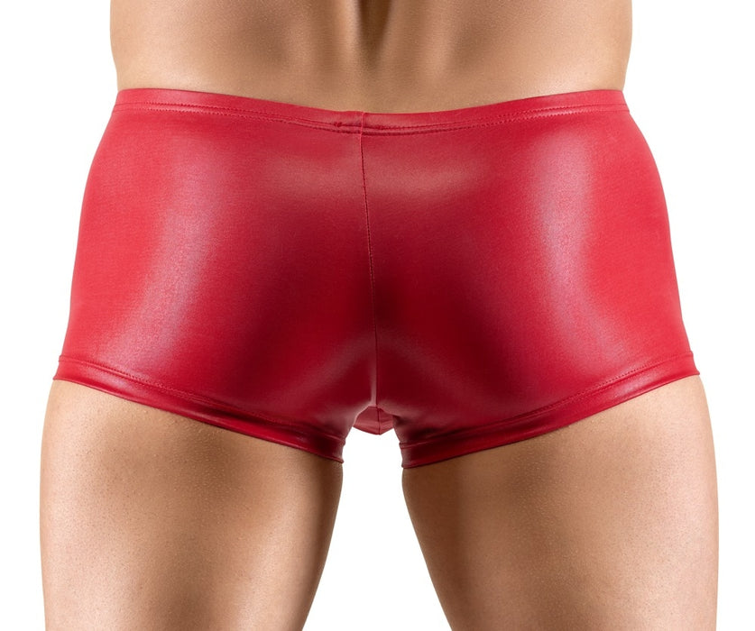 Boxer Terio Rouge