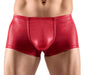 Boxer Terio Rouge