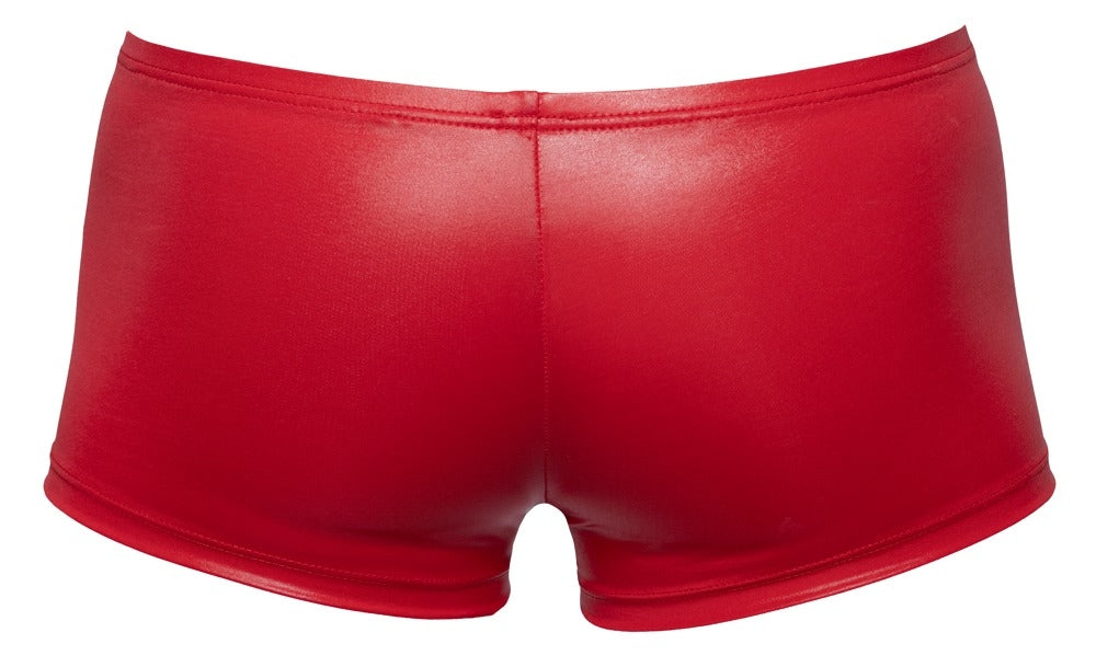 Boxer Terio Rouge
