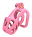 Cage Bishera Rose L 8.5 x 3.2cm