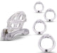 Cage de chasteté Beam 6 x 3cm Transparente