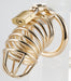 Cage de Chasteté Golden Bird 9 x 3.5cm