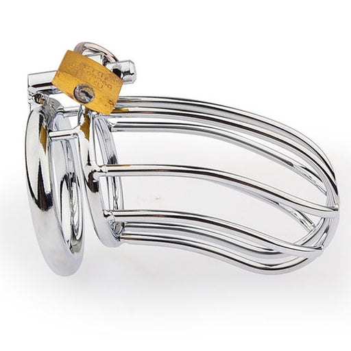 Cage de chasteté Lineale 9.5 x 3.5cm