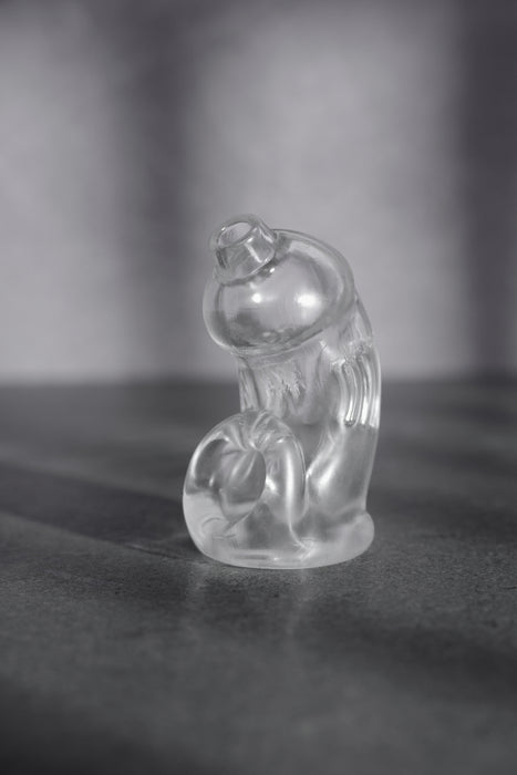 Cage de chasteté ManCage Modèle 29 - 9.5 x 3.2cm Transparente