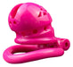 Cage de chasteté Sex Slave M 6.5 x 3.5cm Rose