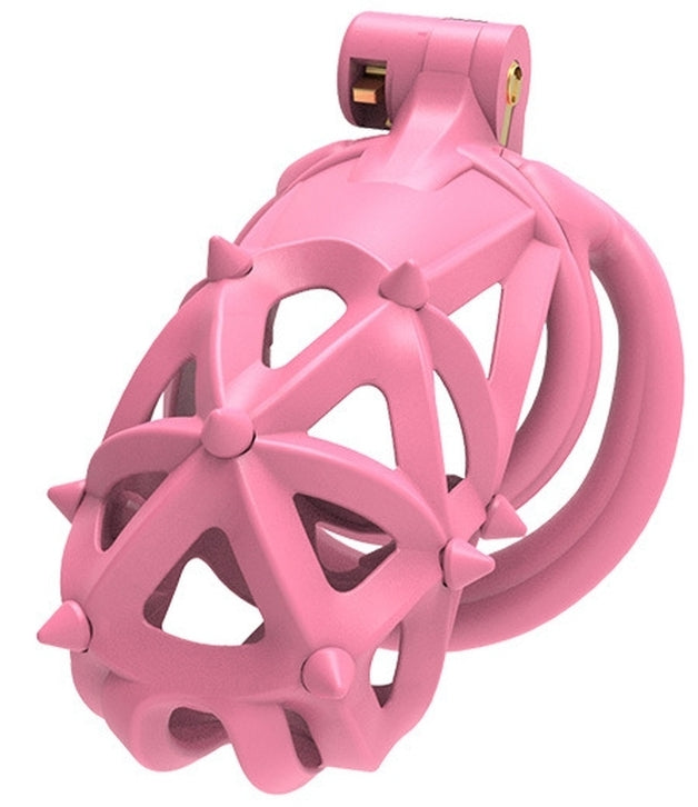 Cage Diapik Rose M 10 x 3.3cm