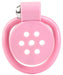 Cage Hidy 2.5 x 3.8 cm Rose