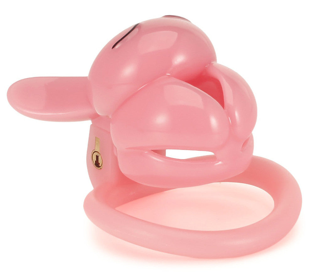 Cage Lapin 4.5 x 3 cm Rose