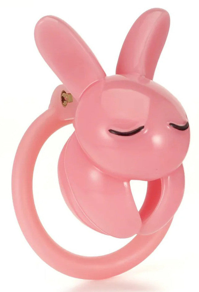 Cage Lapin 4.5 x 3 cm Rose