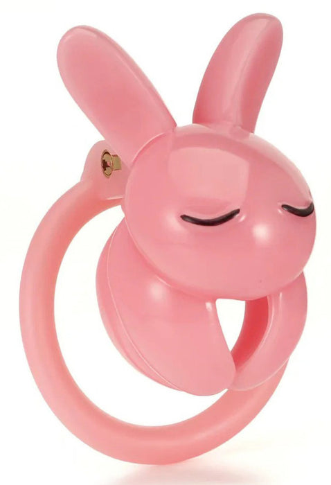 Cage Lapin 4.5 x 3 cm Rose