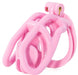 Cage Rammak Rose M 9.5 x 2 cm