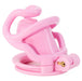 Cage Rammak Rose S 6 x 2.7 cm