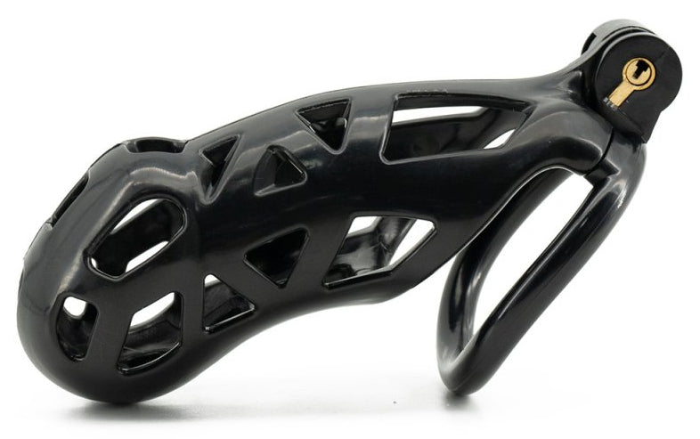 Cage Robat Noire 3XL 12 x 3.7cm