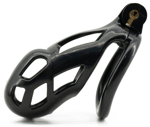 Cage Robat Noire XL 9 x 3.7cm