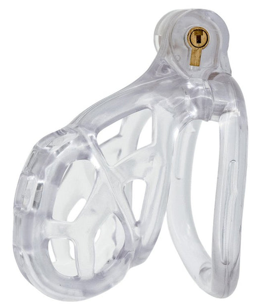 Cage Robat Transparente L 6.5 x 3.7cm
