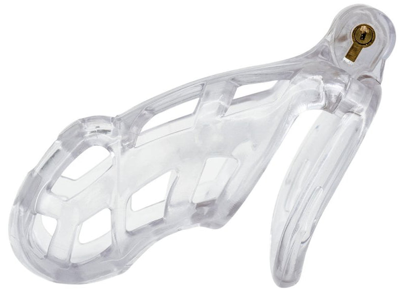 Cage Robat Transparente XXL 10 x 3.7cm