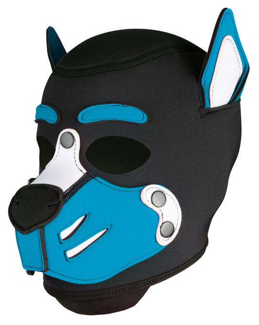 Cagoule Husky Bleu turquoise