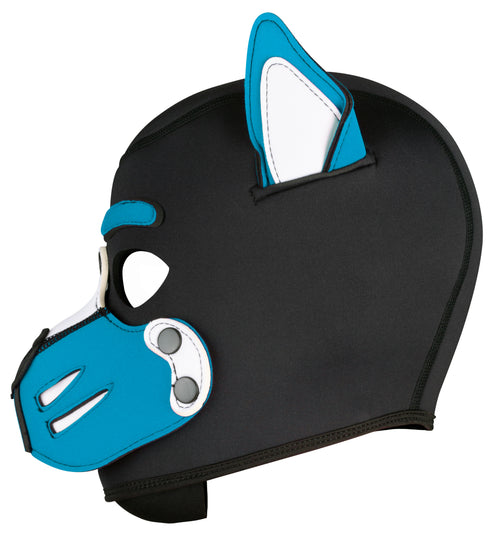 Cagoule Husky Bleu turquoise