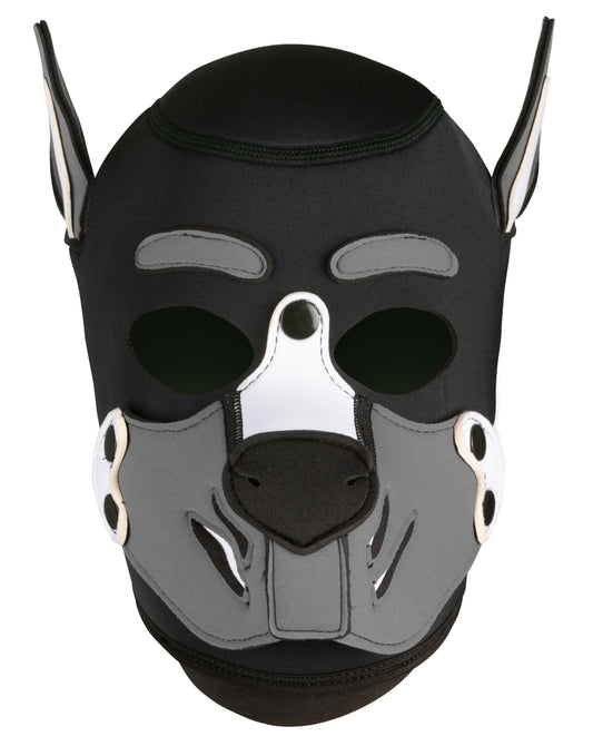 Cagoule Husky Grise