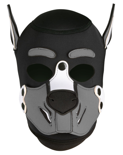 Cagoule Husky Grise