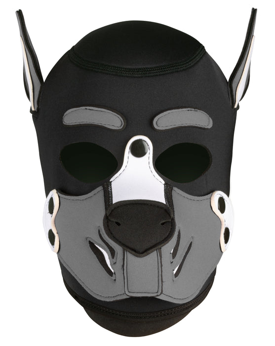 Cagoule Husky Grise