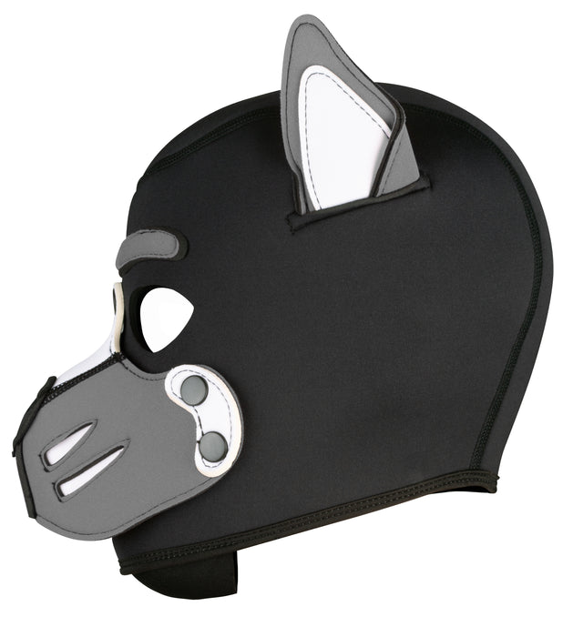 Cagoule Husky Grise