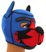 Cagoule Puppy Fox Néoprène Bleu-Rouge