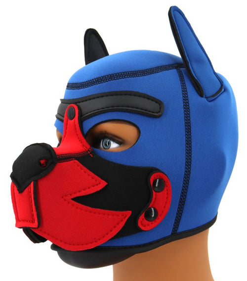 Cagoule Puppy Fox Néoprène Bleu-Rouge