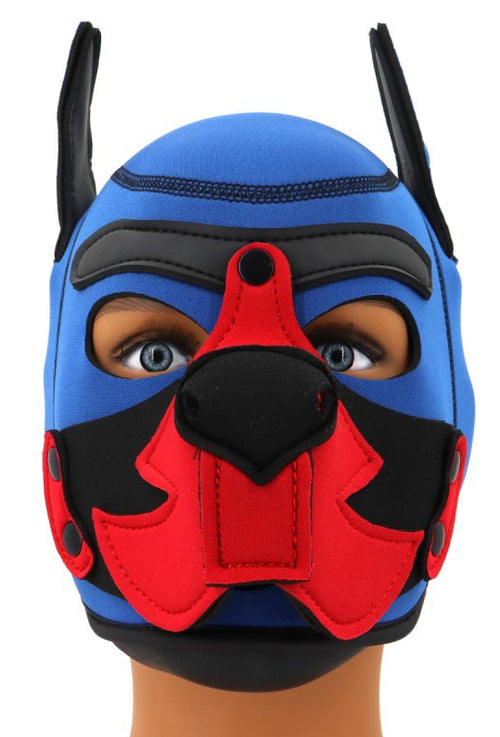 Cagoule Puppy Fox Néoprène Bleu-Rouge