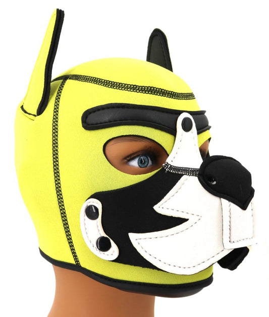 Cagoule Puppy Fox Néoprène Jaune-Blanc
